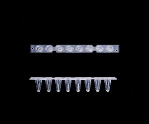0.2ml八聯(lián)排PCR管，光學(xué)平蓋，透明，科進(jìn)/KIRGEN