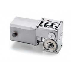 mini motor 無端螺旋齒輪馬達(dá)BC2000 12-24MP系列