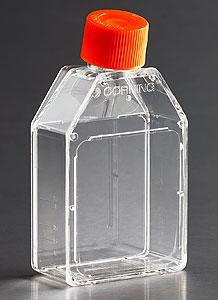 Corning 細胞培養容器，CellBIND(R) 表面，滅菌 3067