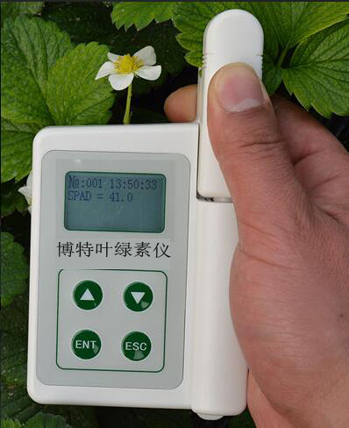 涿州博特BNY-S手持葉綠素測量儀帶數據存儲