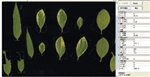 植物葉面積分析儀系統， 野外便攜式植物葉面積分析儀